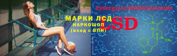 гашик Алзамай