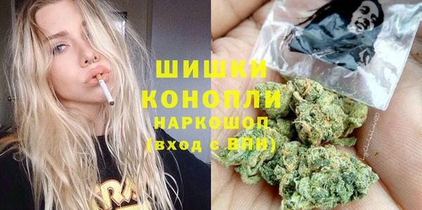 гашик Алзамай