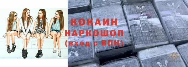 гашик Алзамай