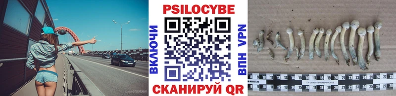 даркнет сайт  Ладушкин  Псилоцибиновые грибы мицелий 